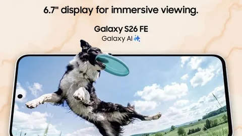 Galaxy S26 FE dispo : One UI 9 et Exynos 2500 dès septembre 2026