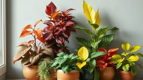 Autumn indoors: 5 colorful houseplants to warm up your home