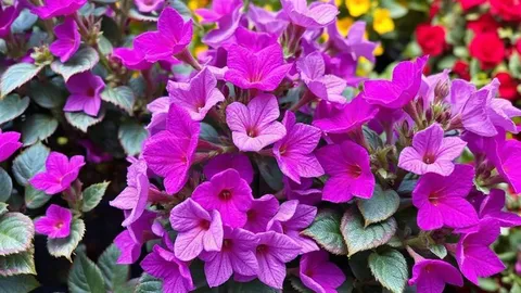 Which plants to prune in September (and which to leave alone)