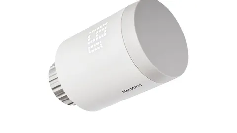 Netatmo ORIGINAL : têtes Zigbee + Thermo Hub Matter