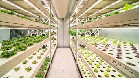 Siemens SIMATIC × LindenGreen: Container Hydroponics Oct 2026