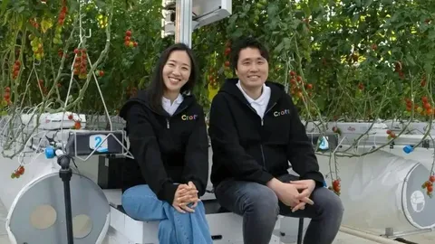 Croft GrowPilot × Asai Japón: IA en invernaderos de tomate